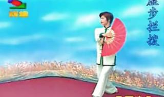 42式太极剑背向演练